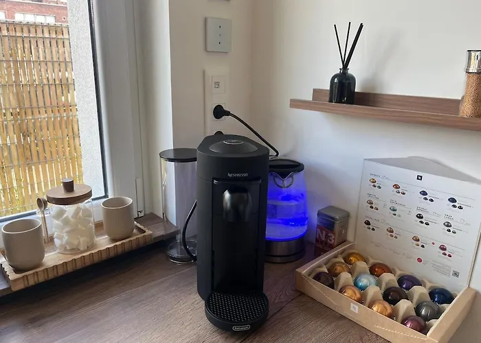 La Parenthese Dunkerquoise - Appt Luxe, Balneo, Jardin Et Garages Avec Chargeur Vh Electrique *